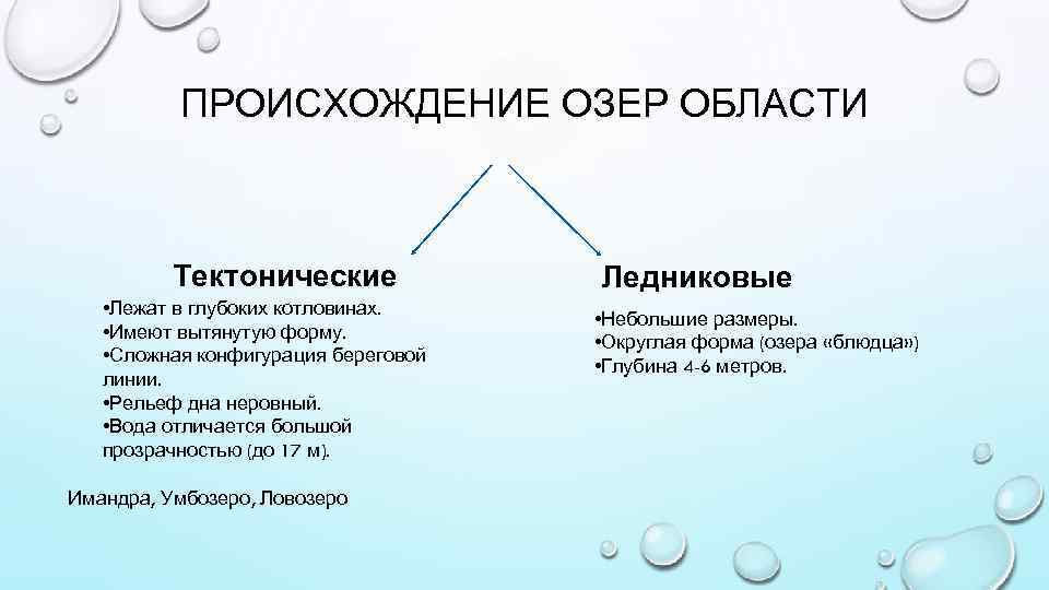 ПРОИСХОЖДЕНИЕ ОЗЕР ОБЛАСТИ Тектонические • Лежат в глубоких котловинах. • Имеют вытянутую форму. •