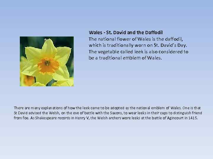 Wales - St. David and the Daffodil The national flower of Wales is the