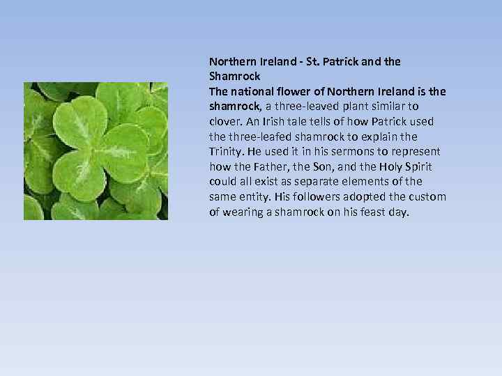 Northern Ireland - St. Patrick and the Shamrock The national flower of Northern Ireland