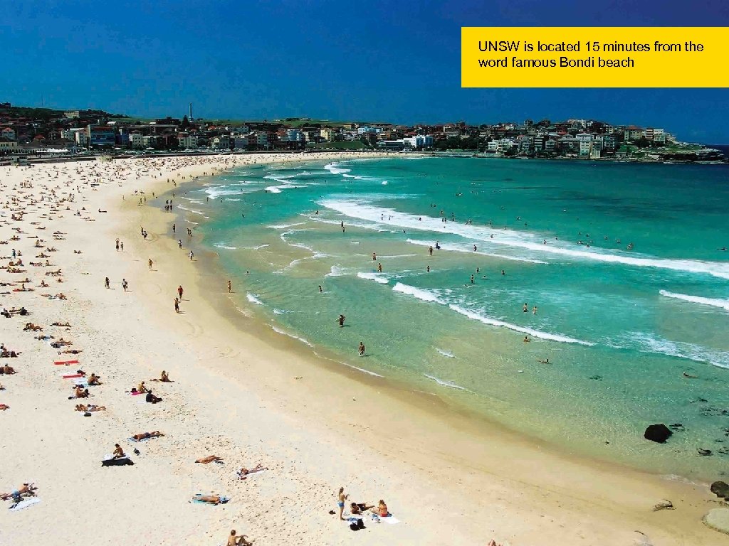 UNSW is located 15 minutes from the word famous Bondi beach 