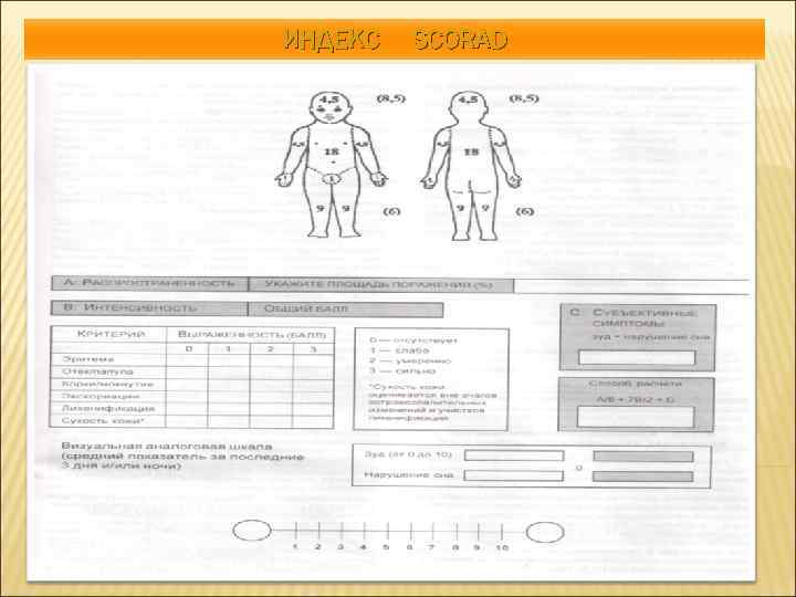 ИНДЕКС SCORAD 
