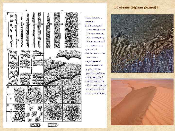 Рельеф типы форм рельефа. Эоловая аккумуляция форма рельефа. Эоловые формы рельефа каменные решетки. Классификация аккумулятивных форм эолового рельефа. Эоловые отложения схема.