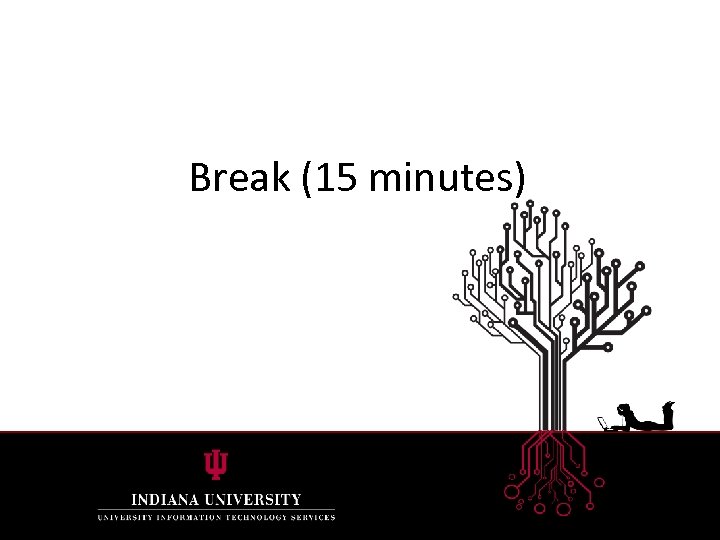 Break (15 minutes) 