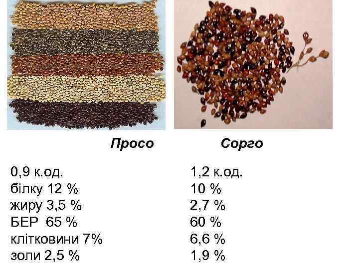 Просо 0, 9 к. од. білку 12 % жиру 3, 5 % БЕР 65