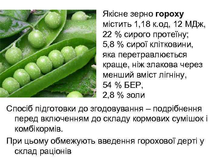 Якісне зерно гороху містить 1, 18 к. од, 12 МДж, 22 % сирого протеїну;