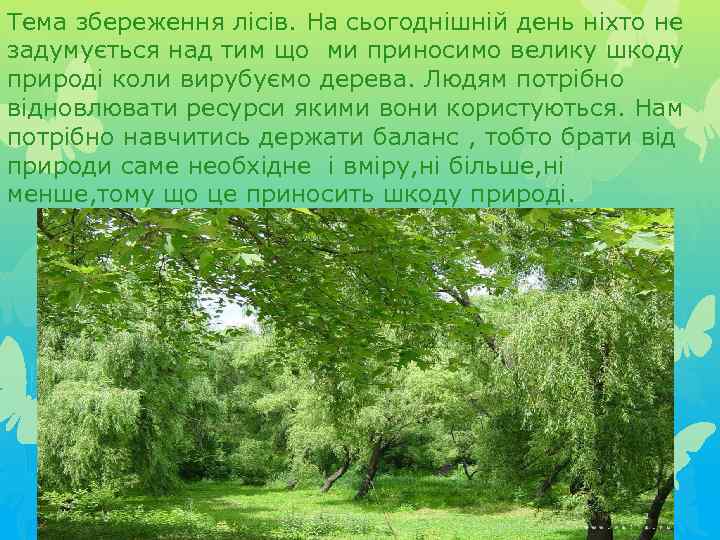 Тема збереження лісів. На сьогоднішній день ніхто не задумується над тим що ми приносимо