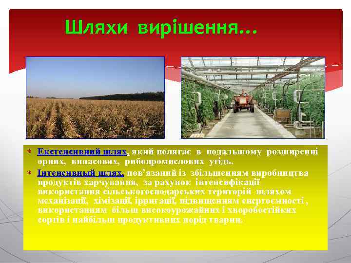 Шляхи вирішення… Екстенсивний шлях, який полягає в подальшому розширенні орних, випасових, рибопромислових угідь. Інтенсивный
