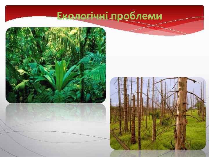 Екологічні проблеми 