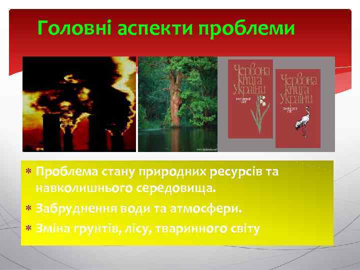 Головні аспекти проблеми Проблема стану природних ресурсів та навколишнього середовища. Забруднення води та атмосфери.