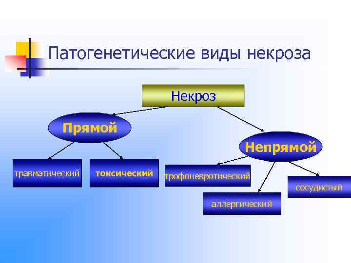 Патогенетические виды некроза Некроз Прямой Непрямой травматический токсический трофоневротический сосудистый аллергический 