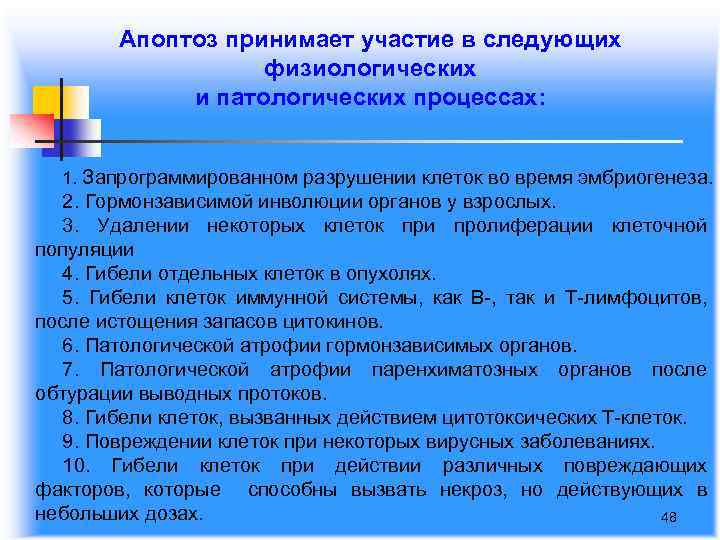 Апоптоз принимает участие в следующих физиологических и патологических процессах: 1. Запрограммированном разрушении клеток во