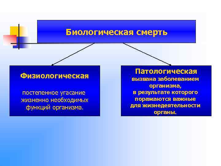 Биологическая смерть Физиологическая постепенное угасание жизненно необходимых функций организма. Патологическая вызвана заболеванием организма, в