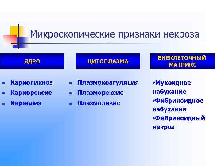 Микроскопические признаки некроза ЯДРО ЦИТОПЛАЗМА n Кариопикноз n Плазмокоагуляция n Кариорексис n Плазморексис n