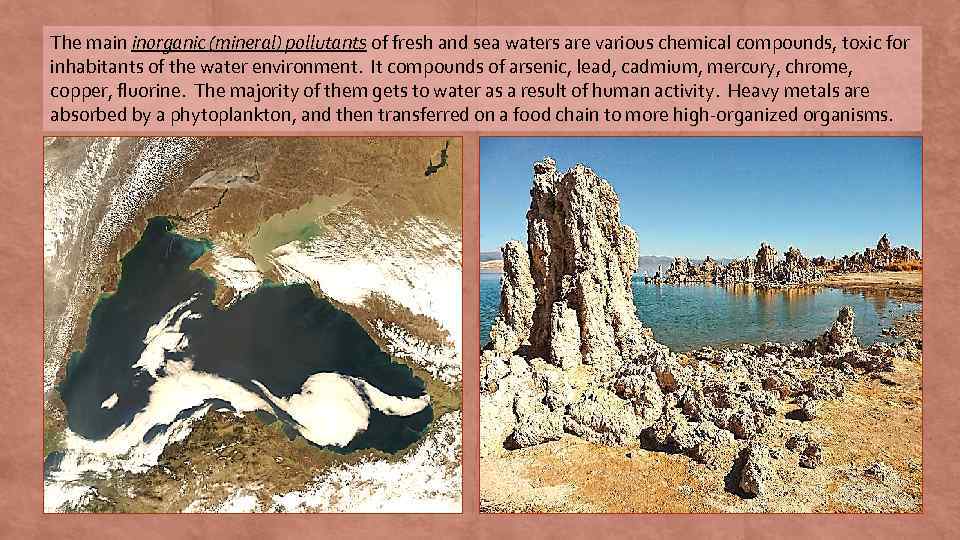 The main inorganic (mineral) pollutants of fresh and sea waters are various chemical compounds,