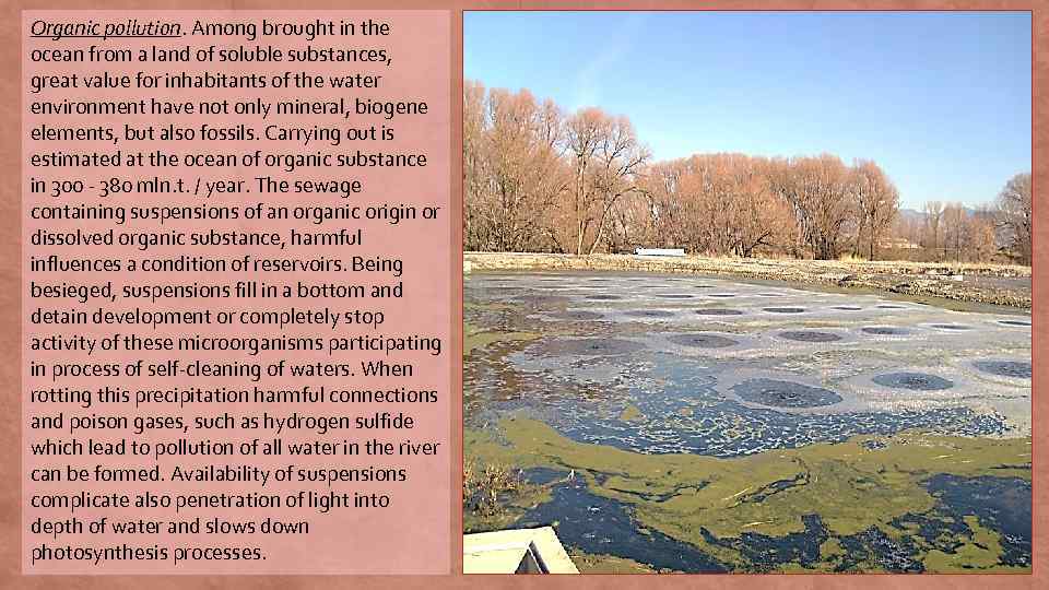 Organic pollution. Among brought in the ocean from a land of soluble substances, great