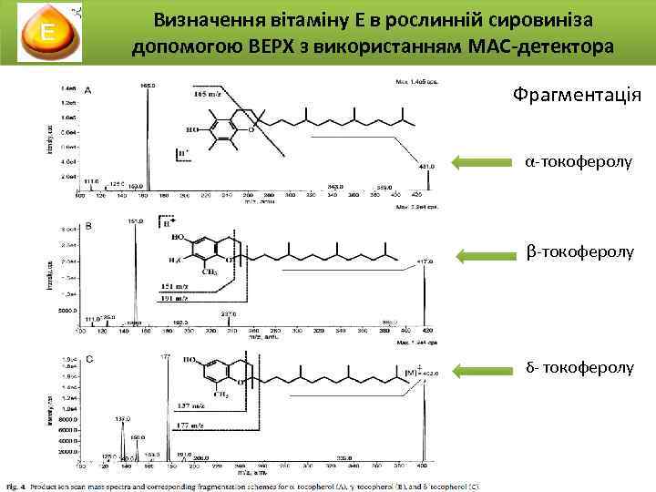 Визначення вітаміну Е в рослинній сировиніза допомогою ВЕРХ з використанням МАС-детектора Фрагментація α-токоферолу β-токоферолу