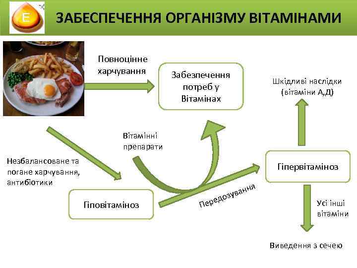 ЗАБЕСПЕЧЕННЯ ОРГАНІЗМУ ВІТАМІНАМИ Повноцінне харчування Забезпечення потреб у Вітамінах Шкідливі наслідки (вітаміни А, Д)