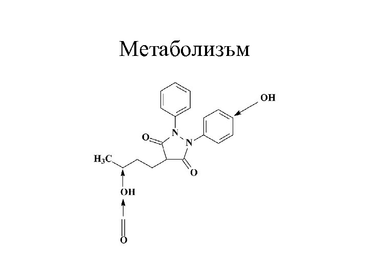 Метаболизъм 