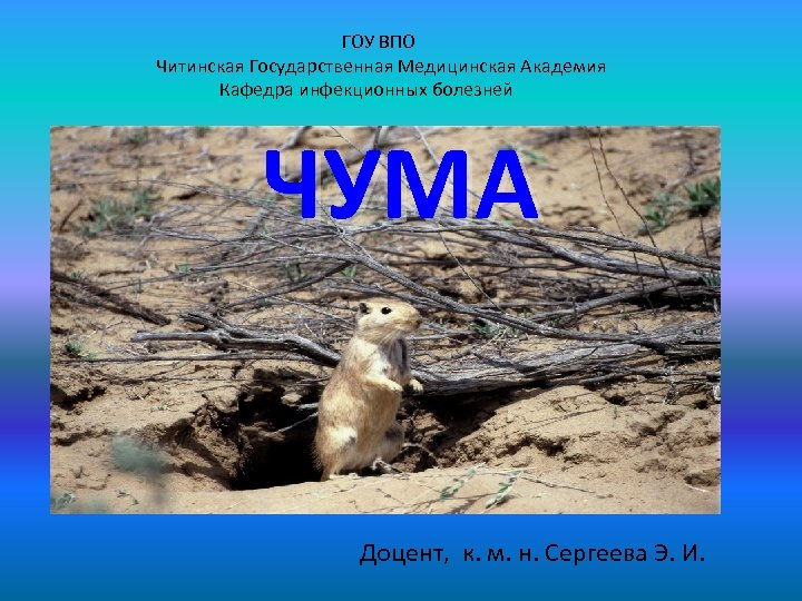 ГОУ ВПО Читинская Государственная Медицинская Академия Кафедра инфекционных болезней ЧУМА Доцент, к. м. н.