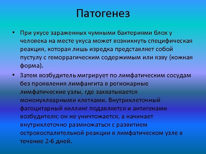 Патогенез • При укусе зараженных чумными бактериями блох у человека на месте укуса может