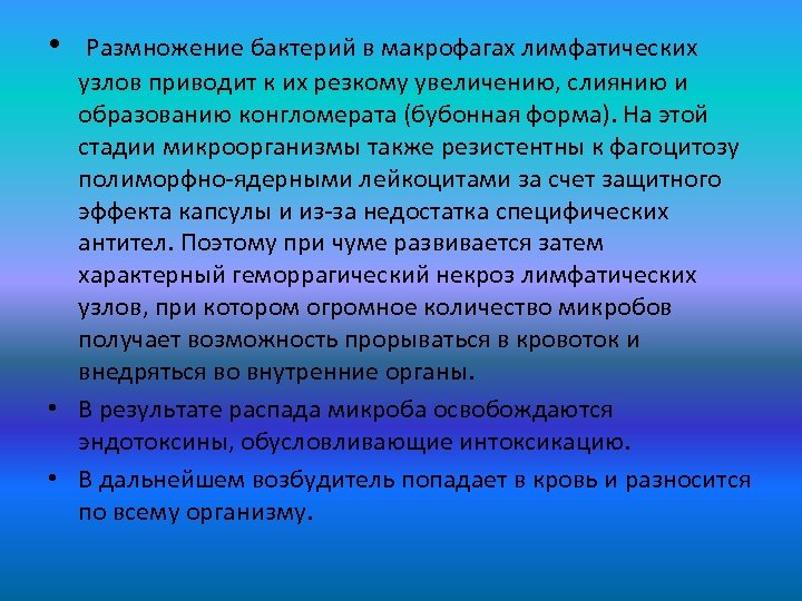  • Размножение бактерий в макрофагах лимфатических узлов приводит к их резкому увеличению, слиянию