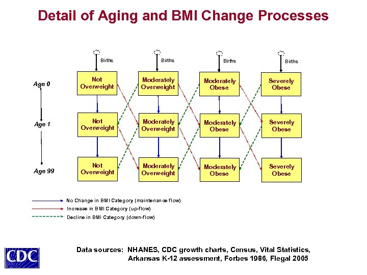 Detail of Aging and BMI Change Processes Births Age 0 Not Overweight Moderately Obese
