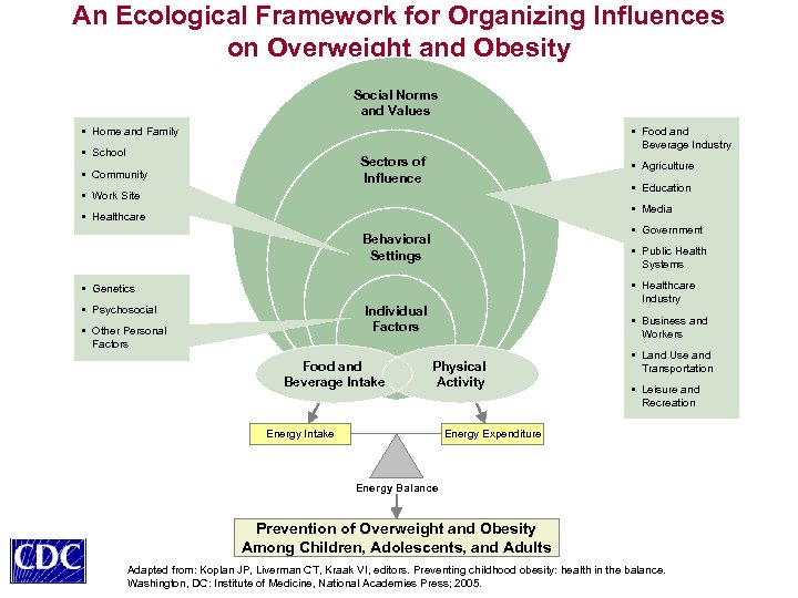 An Ecological Framework for Organizing Influences on Overweight and Obesity Social Norms and Values