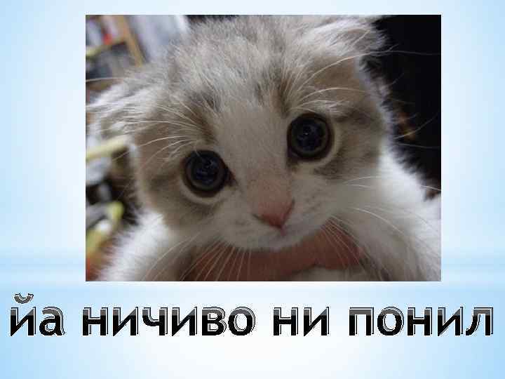 йа ничиво ни понил 