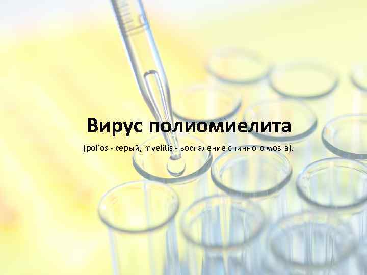 Вирус полиомиелита (polios - серый, myelitis - воспаление спинного мозга). 