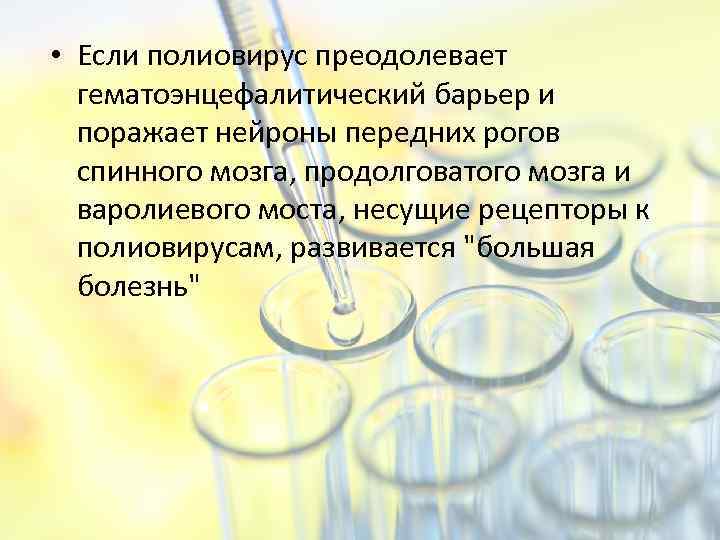  • Если полиовирус преодолевает гематоэнцефалитический барьер и поражает нейроны передних рогов спинного мозга,