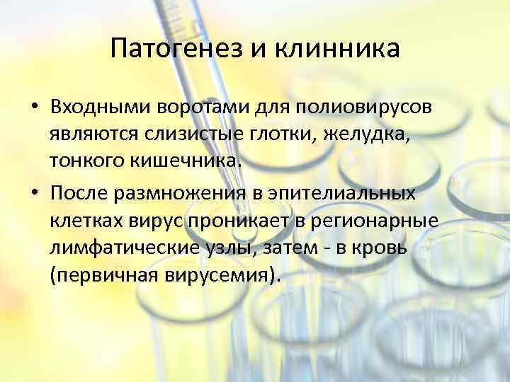 Патогенез и клинника • Входными воротами для полиовирусов являются слизистые глотки, желудка, тонкого кишечника.