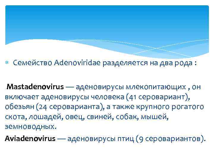  Семейство Adenoviridae разделяется на два рода : Mastadenovirus — аденовирусы млекопитающих , он
