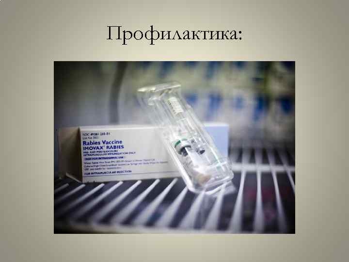 Профилактика: 