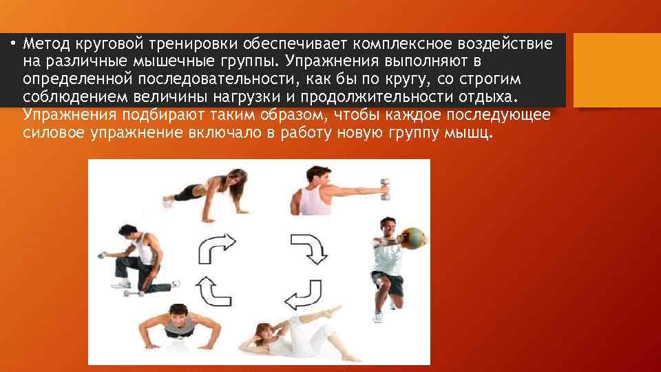 Комплекс упражнений с использованием метода круговой тренировки. Комплекс круговой тренировки. Упражнения для круговой тренировки. Метод круговой тренировки. Круговая тренировка комплекс упражнений.