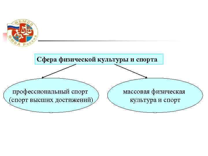 Сфера физической культуры и спорта профессиональный спорт (спорт высших достижений) массовая физическая культура и