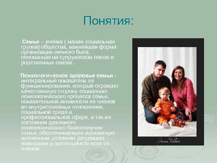 Понятия: Семья – ячейка ( малая социальная группа) общества, важнейшая форма организации личного быта,