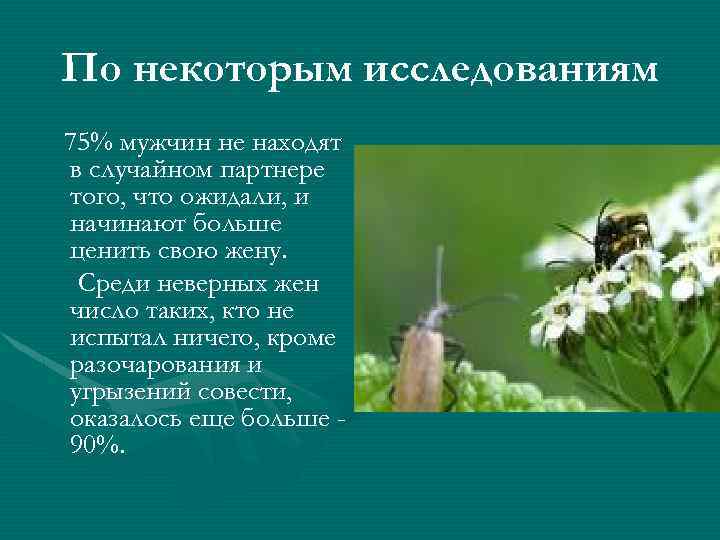 По некоторым исследованиям 75% мужчин не находят в случайном партнере того, что ожидали, и