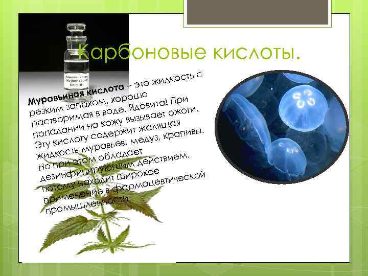 Карбоновые кислоты. сть с жидко – это слота я ки авьина хом, хорошо а!