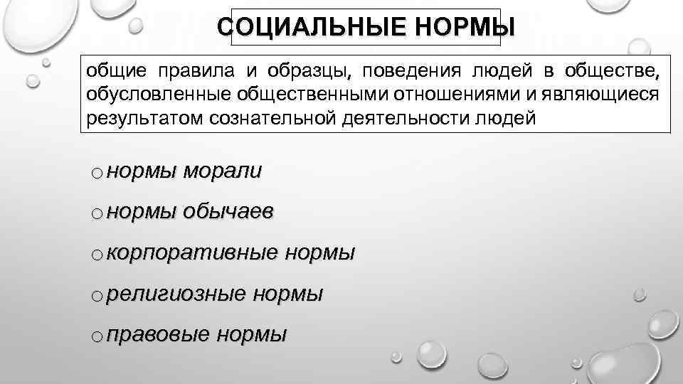 Общие правила и образцы поведения обусловленные общественными отношениями людей в обществе