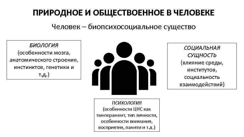 Природное и общественное в человеке презентация