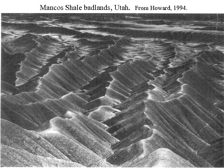 Mancos Shale badlands, Utah. From Howard, 1994. 