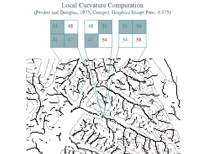 Local Curvature Computation (Peuker and Douglas, 1975, Comput. Graphics Image Proc. 4: 375) 43