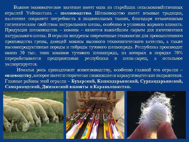  Важное экономическое значение имеет одна из старейших сельскохозяйственных отраслей Узбекистана – шелководство. Шелководство