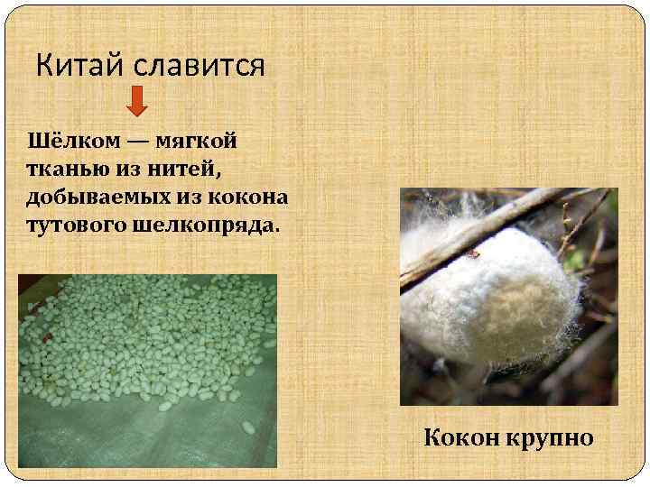 Китай славится Шёлком — мягкой тканью из нитей, добываемых из кокона тутового шелкопряда. Кокон