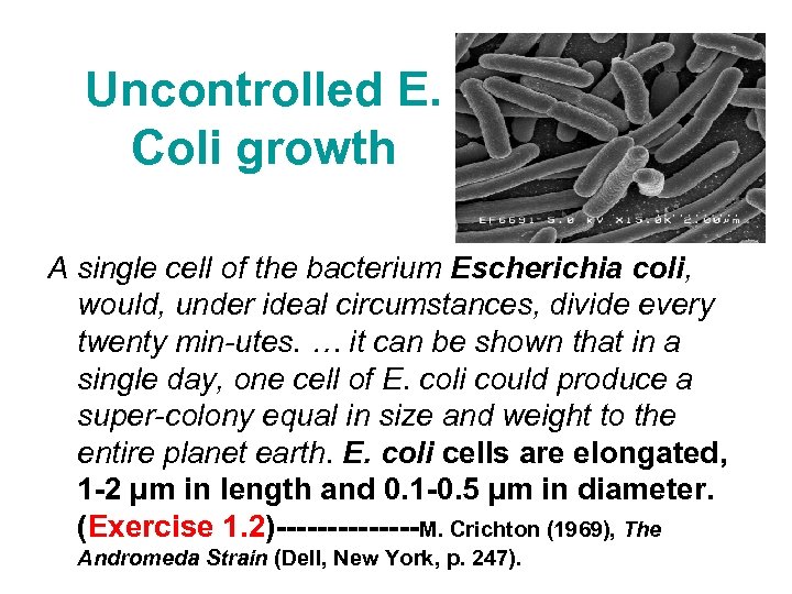 Uncontrolled E. Coli growth A single cell of the bacterium Escherichia coli, would, under