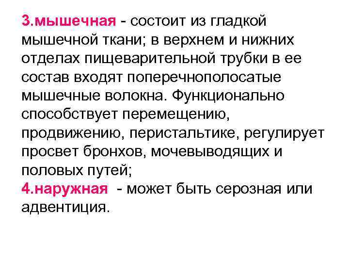 3. мышечная - состоит из гладкой мышечной ткани; в верхнем и нижних отделах пищеварительной