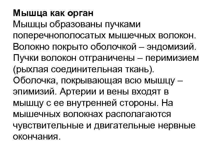 Мышца как орган Мышцы образованы пучками поперечнополосатых мышечных волокон. Волокно покрыто оболочкой – эндомизий.