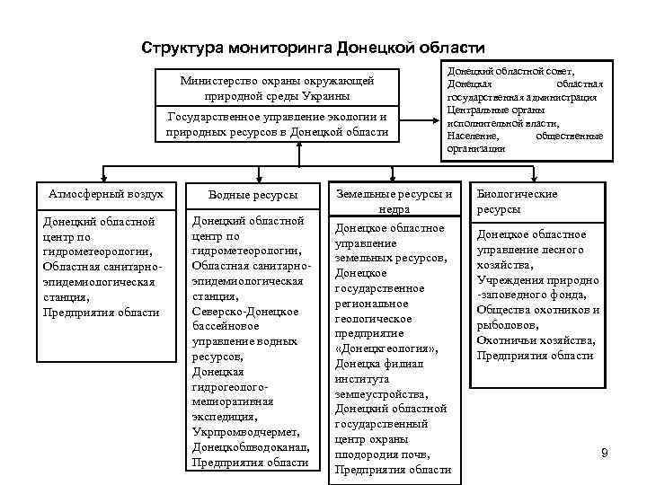 Структура мониторинга Донецкой области Министерство охраны окружающей природной среды Украины Государственное управление экологии и