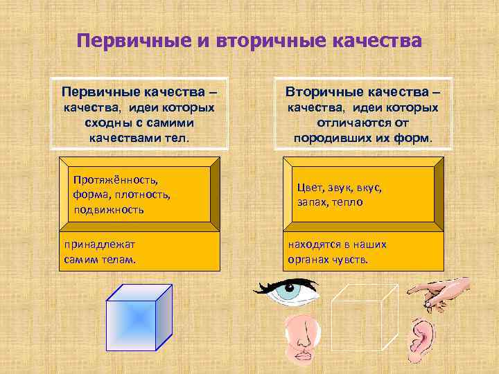 Первичные и вторичные качества Первичные качества – Вторичные качества – качества, идеи которых сходны