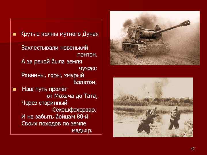 n Крутые волны мутного Дуная Захлестывали новенький понтон. А за рекой была земля чужая: